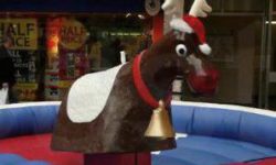 Rodeo Reindeer
